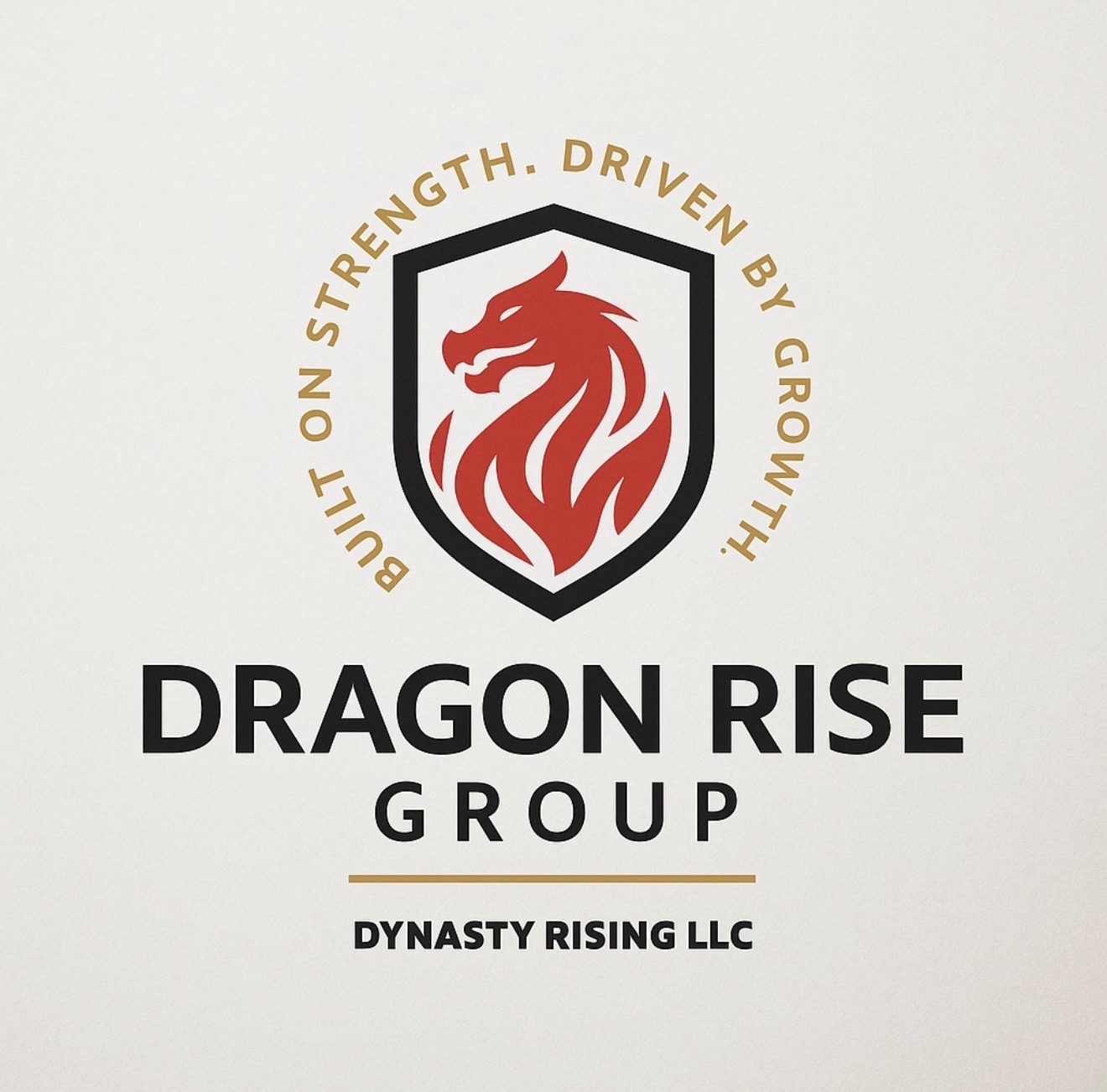 Dragon Rise Group logo